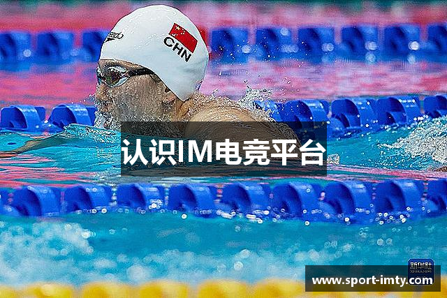 im电竞·(中国)电子竞技平台